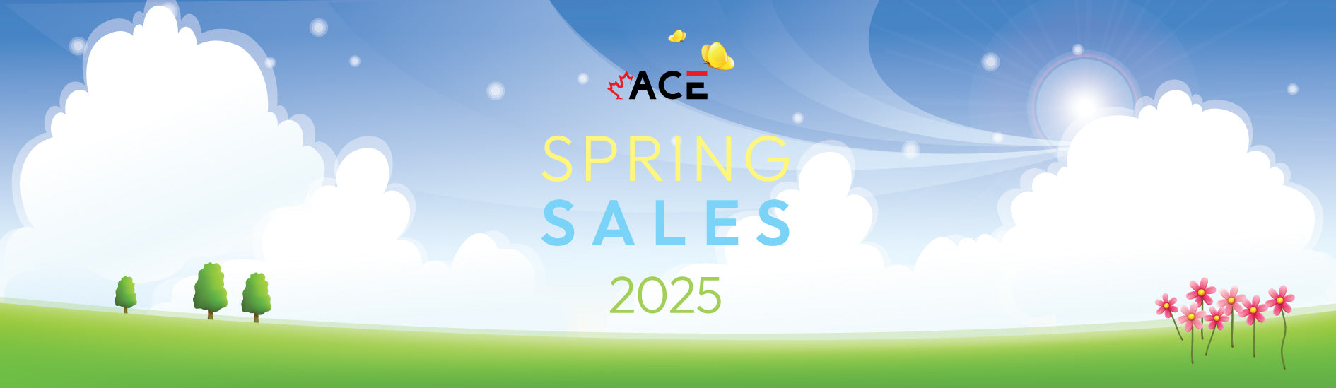 ACE TRADING CANADA LTD
